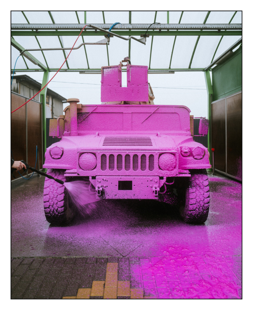 Pink Democracy