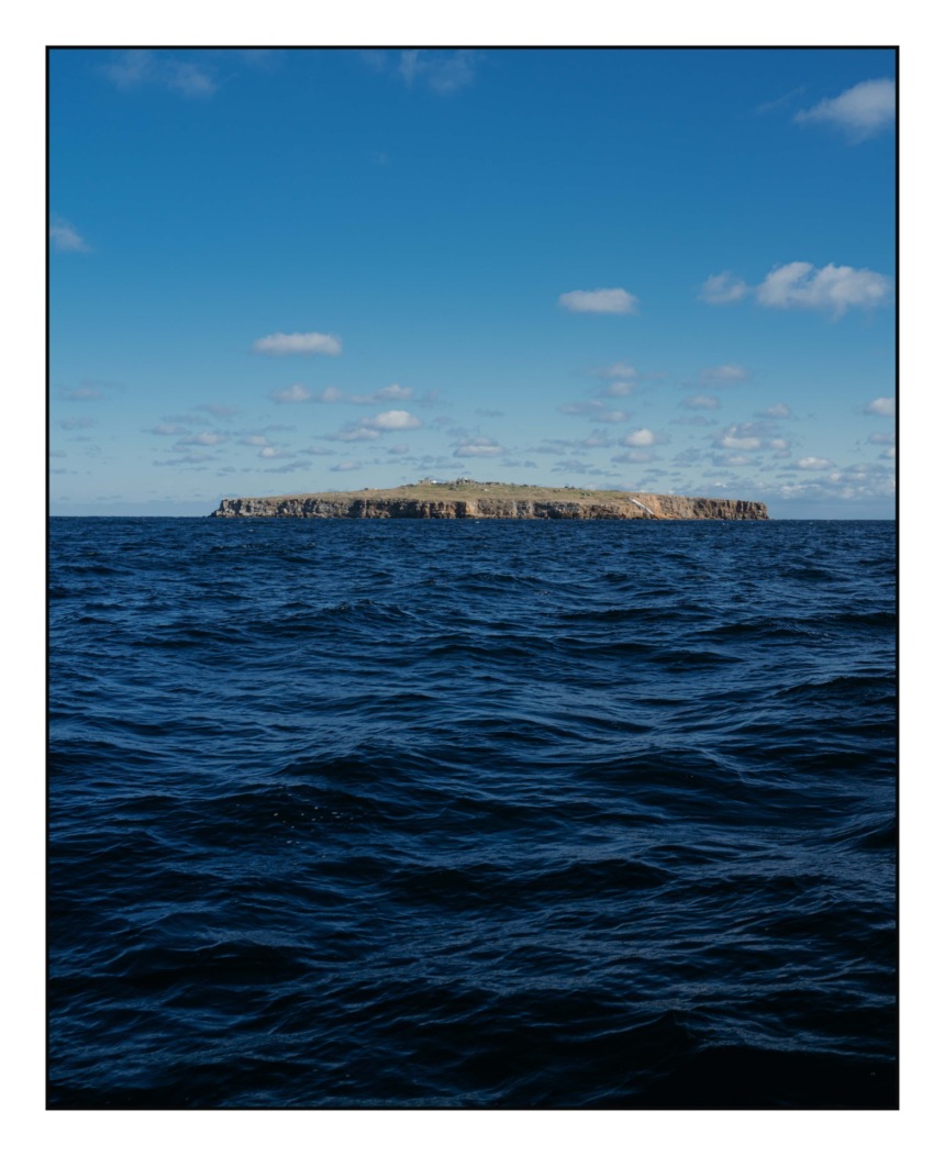 Snake Island - 01